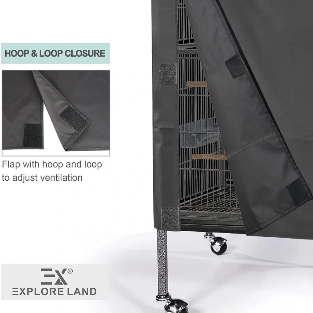 explore land black bird